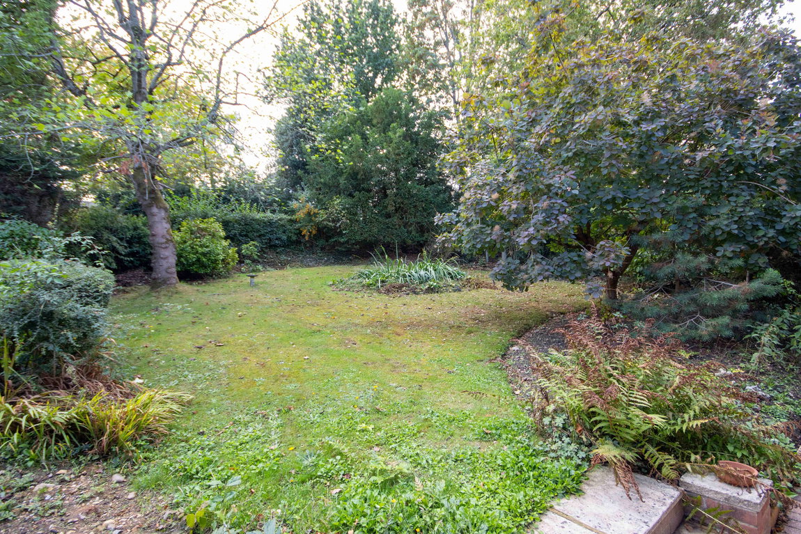 ftgdn_1789385089062.jpg