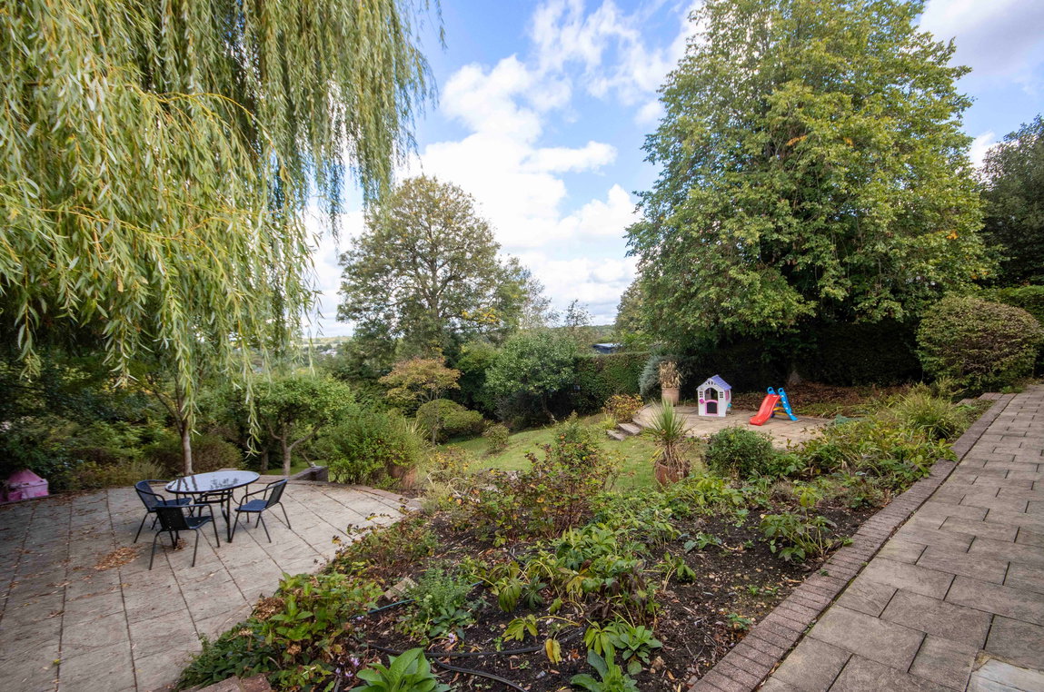 gdn3_1789385089063.jpg