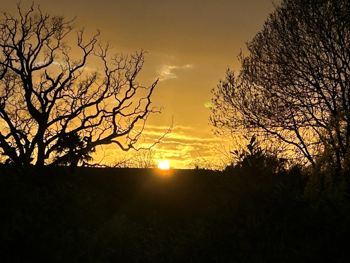 sunset_1789552810989.jpg